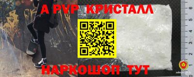 PSILOCYBIN Берёзовский