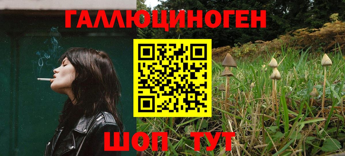 Псилоцибиновые грибы прущие грибы Керчь