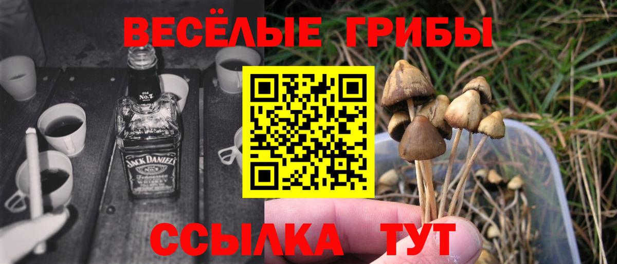 Псилоцибиновые грибы Magic Shrooms  Вход с VPN  Керчь 
